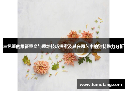 三色堇的象征意义与栽培技巧探索及其在园艺中的独特魅力分析