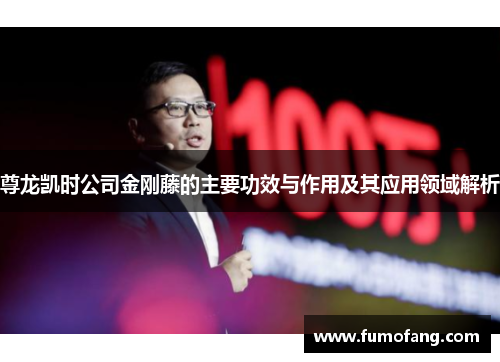 尊龙凯时公司金刚藤的主要功效与作用及其应用领域解析